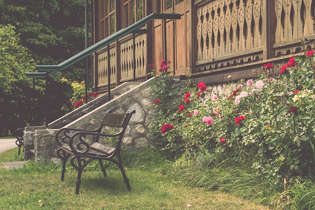 球迷们也对 球迷们也对