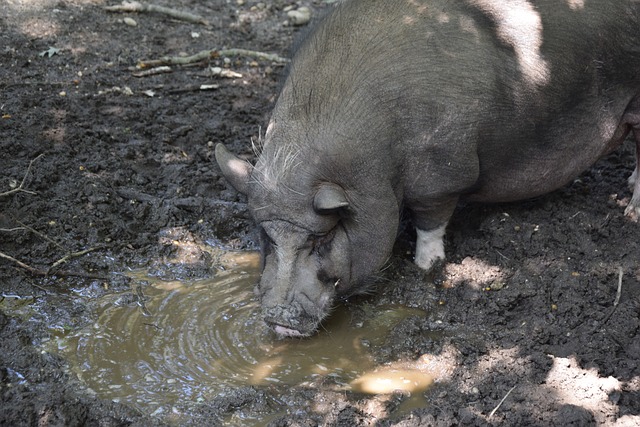 款重新将球 款重新将球