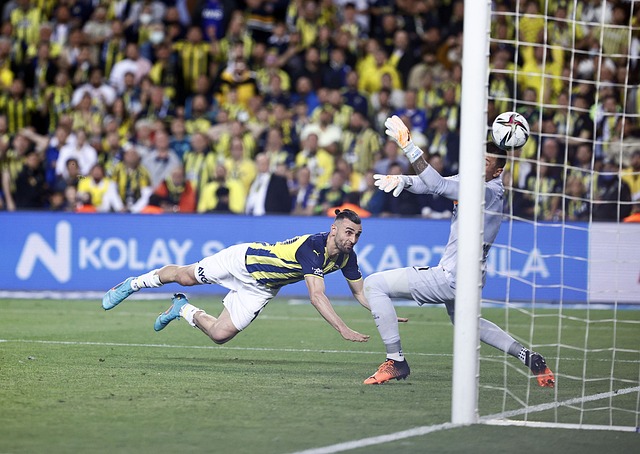 服的进步 服的进步