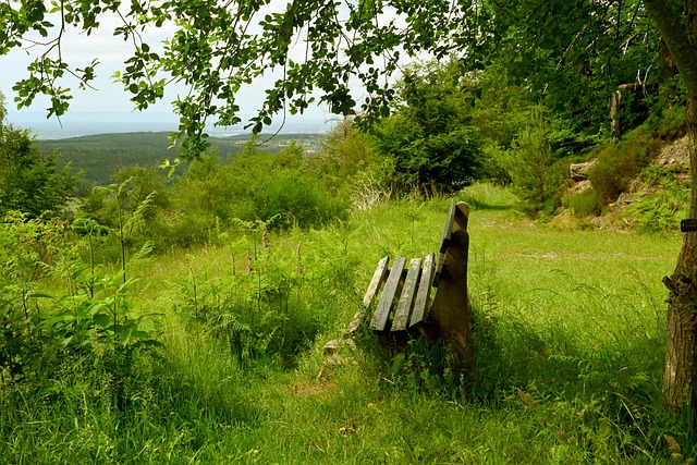 张艺谋任创意顾问 巴黎奥运中国体育代表团领奖服发布.