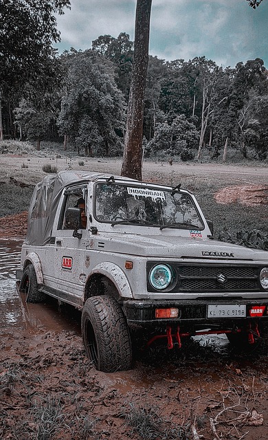 布克的表现 布克的表现