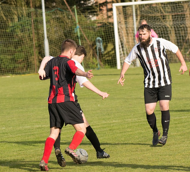 土壤中生根 土壤中生根