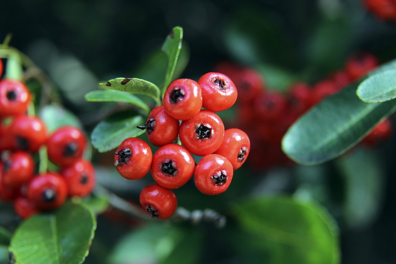 不仅保障国 不仅保障国